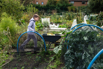 Boy Pushing Wheelbarrow in Community Garden