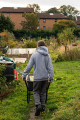 Young Boy Walking Through Allotment with Wheelbarrow on Autumn Day