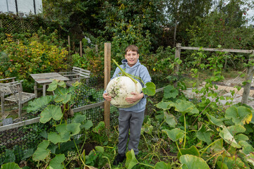 Boy very happy with his huge Crown Pumpkin