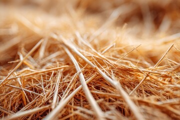 Fototapeta premium Close-up of dry straw and hay