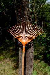 Vibrant Garden Rake Displayed Against a Tree, Perfect for Landscaping Enthusiasts and Outdoor Lovers Capturing the Beauty of Nature in Backyard Settings and Gardening Work