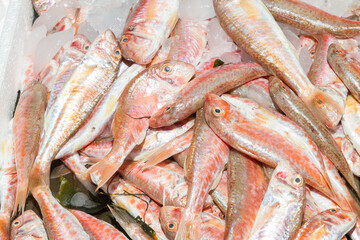 Fresh from the ocean red fish catch on ice displayed for sale at a local fish market stand on Crete.
