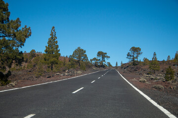 Tenerife - Empty winding road through a arid landscape with sparse pine tree vegetation under a vast blue sky