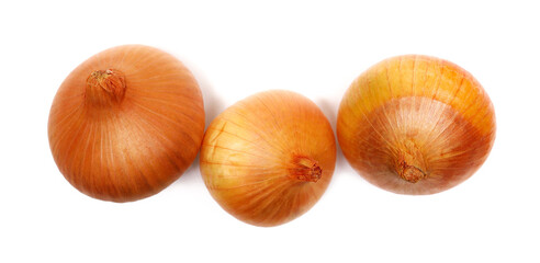 Fresh group onions bulbs isolated on white background, top view	
