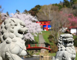 Stone lion statues guard a Japanese garden with cherry blossoms and a red bridge