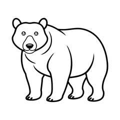 Fototapeta premium bear vector illustration