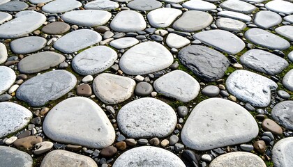 Stone path, various colors, round shapes