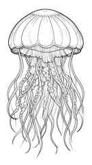 Elegant black and white jellyfish drawing