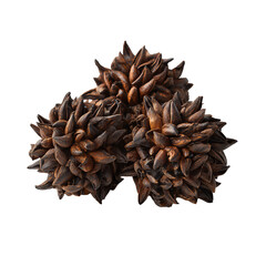Cluster of three spiky tea pearls in triangular arrangement with roasted sheen, isolated on transparent background.
