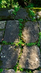 Stone wall overgrown with moss and small plants