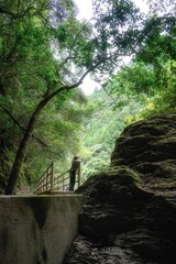 高知県仁淀川町　新緑の中津渓谷
