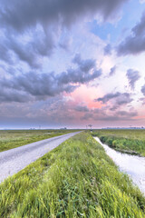Polder grassland landscape in Netherlands