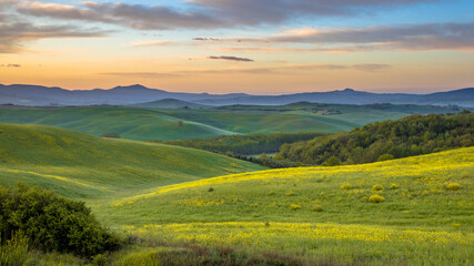 Fototapeta premium Vivid landscape Tuscany