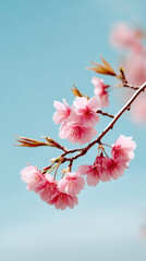 Wind swept blossoms against a clear blue sky for nature aesthetics