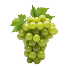 Obraz premium Bunch of Green Grapes Hanging with Fresh Leaves, Healthy Fruit Snack for Natural Food and Diet Advertising