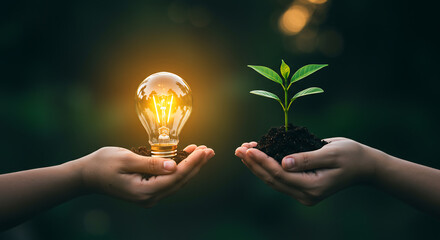 Two hands hold a glowing light bulb and a green plant seedling