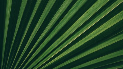 Obraz premium Radiant green palm leaf with vivid veins. AI image