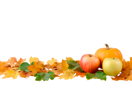 Autumn harvest: apples and pumpkin with colorful fall leaves on transparent background