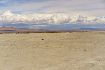 Vast desert plain with distant mountains under a dramatic cloudy sky, featuring a lone bird in flight.