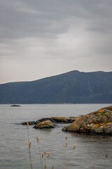 The fjords near Alesund, Norway form the aquarium in the town
