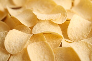 Homemade Flavored Paprika Potato Chips in a Bowl, top view. Flat lay