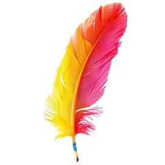 Vibrant colorful feather