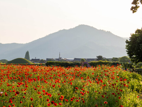 Daereungwon Tomb Complex, Gyeongju, South Korea