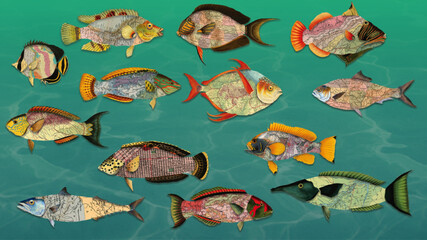 Obraz premium Map collage fish collection – creative vector set
