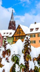 Snowy European townhouses