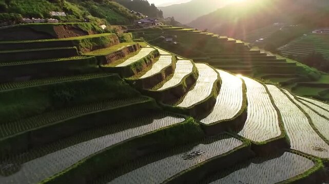 Aerial Vista of Terraced Rice Fields on Green Hillsides Reflecting Sunlight with Golden Sunbeams and Small Village in Background at Dusk Landscape Agriculture Concept 190