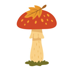 Vector illustration of autumn fly agaric mushroom with red spotted cap and leaf, isolated element.