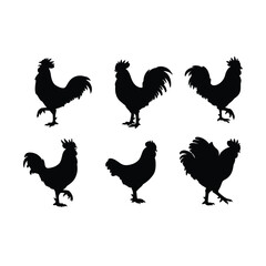 new collection of rooster silhouettes
