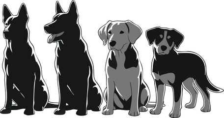 Four different dog breeds, illustrated in a line, showcasing their varied sizes and appearances.