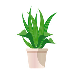 Illustration of a Green Plant in a Light Pink Pot with a White Background