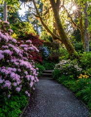 Sunlit garden path through vibrant blooms