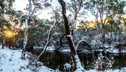 Snowy forest sunrise over a stream