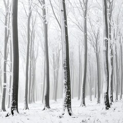 Snowy forest, winter wonderland