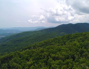 Naklejka premium Mountain range, lush forest