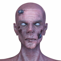 男性ゾンビの顔　3DCGレンダリング