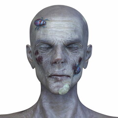 男性ゾンビの顔　3DCGレンダリング