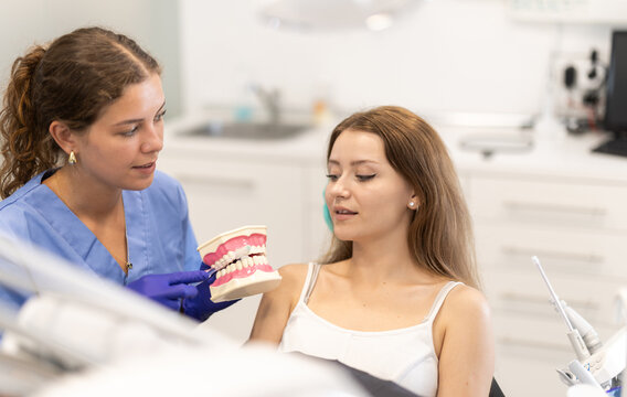 Female dentist holds a model of a jaw in her hands and tells a dental clinic client about dental care, dental floss, and toothbrush selection. Woman at a dentist appointment - Powered by Adobe