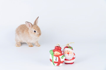 Adorable little brown rabbit bunny with decoration santa and snowman while sitting over isolate white background. Holiday festive, celebration, Christmas concept.