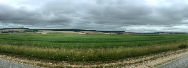 Expansive Green Field Under a Cloudy Sky