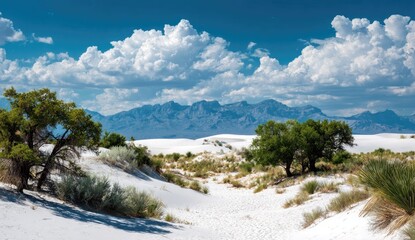 A stunning desert landscape showcasing white sand dunes, lush green trees, and a backdrop of majestic mountains under a vibrant, partly cloudy sky.