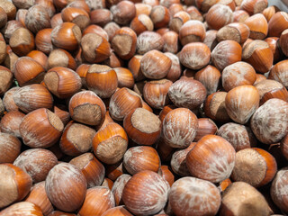 Freshly Harvested Hazelnuts Ready for Market