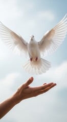 White dove taking flight from an outstretched hand in a serene blue sky during daylight