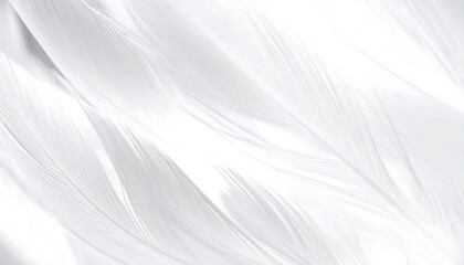Abstract white flowing lines