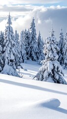 Snowy mountain forest landscape