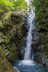 Fototapeta premium 百間滝の全景（愛知県新城市）