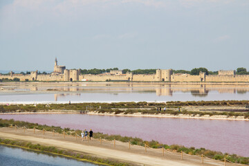 Obraz premium View of the ramparts of Aigues-Mortes from the Salin d'Aigues-Mortes salt marshes, Salin du Midi, Camargue, Gard, France